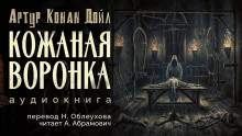 Обложка аудиокниги Кожаная воронка