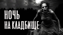 Обложка аудиокниги Ночь на кладбище