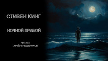 Обложка аудиокниги Ночной прибой
