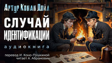 Обложка аудиокниги Случай идентификации