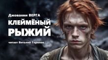 Обложка аудиокниги Клейменый рыжий