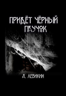 Обложка аудиокниги Придёт чёрный паучок