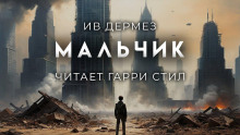 Обложка аудиокниги Мальчик