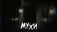 Обложка аудиокниги Мухи