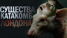 Обложка аудиокниги Крысиный король