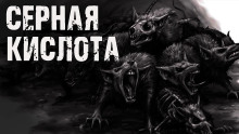 Обложка аудиокниги Серная кислота