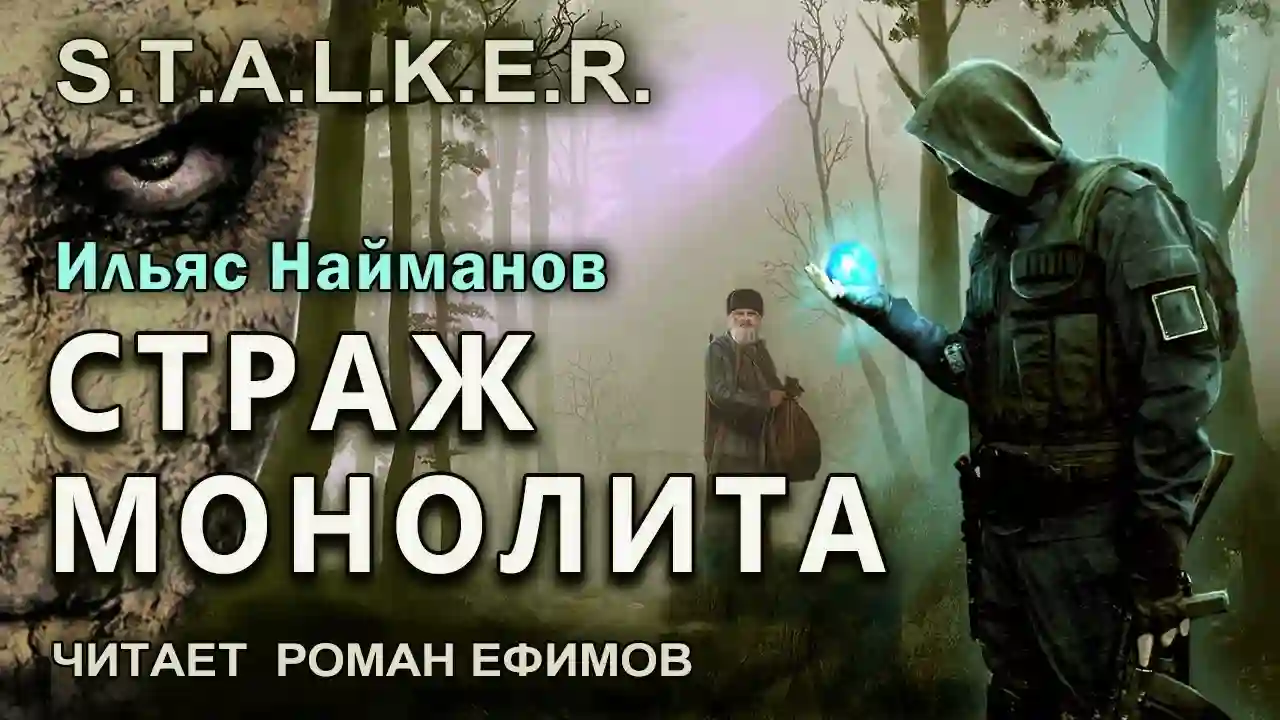 Обложка аудиокниги S.T.A.L.K.E.R. Страж Монолита