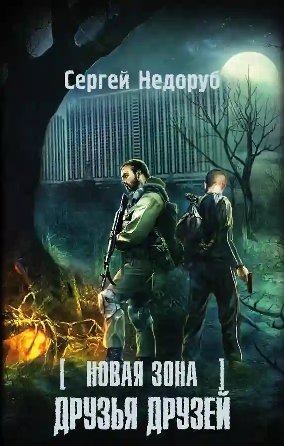 Обложка аудиокниги S.T.A.L.K.E.R. Друзья друзей