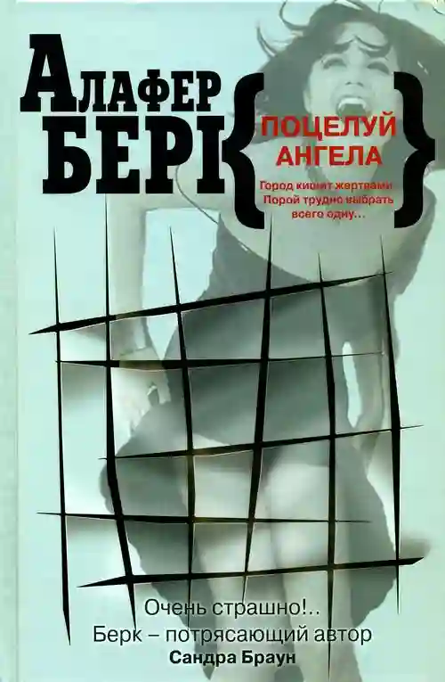 Обложка аудиокниги Поцелуй ангела