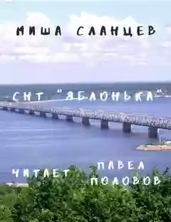 Обложка аудиокниги СНТ "Яблонька"
